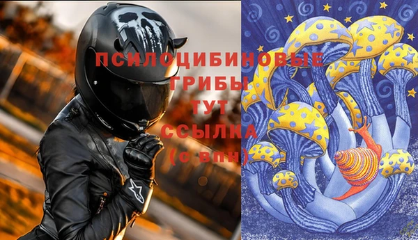 меф Белокуриха